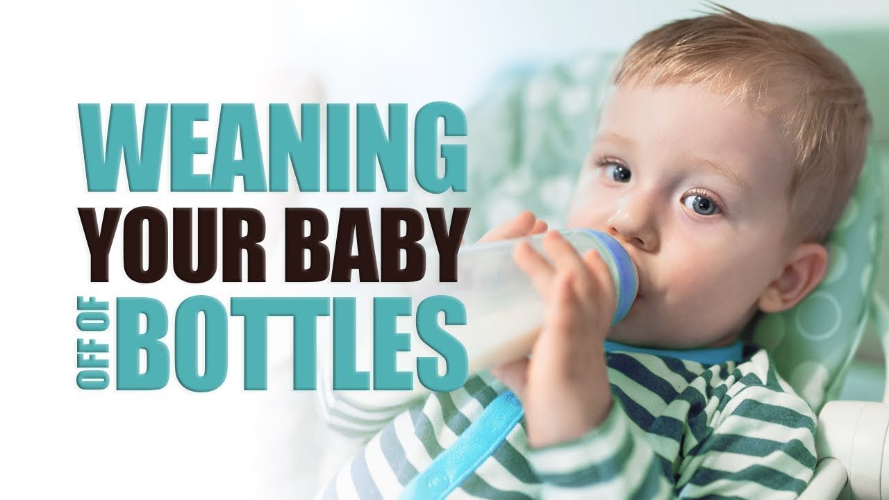 Weaning Your Baby Off of Bottles The Sleep Sense Program by Dana Obleman